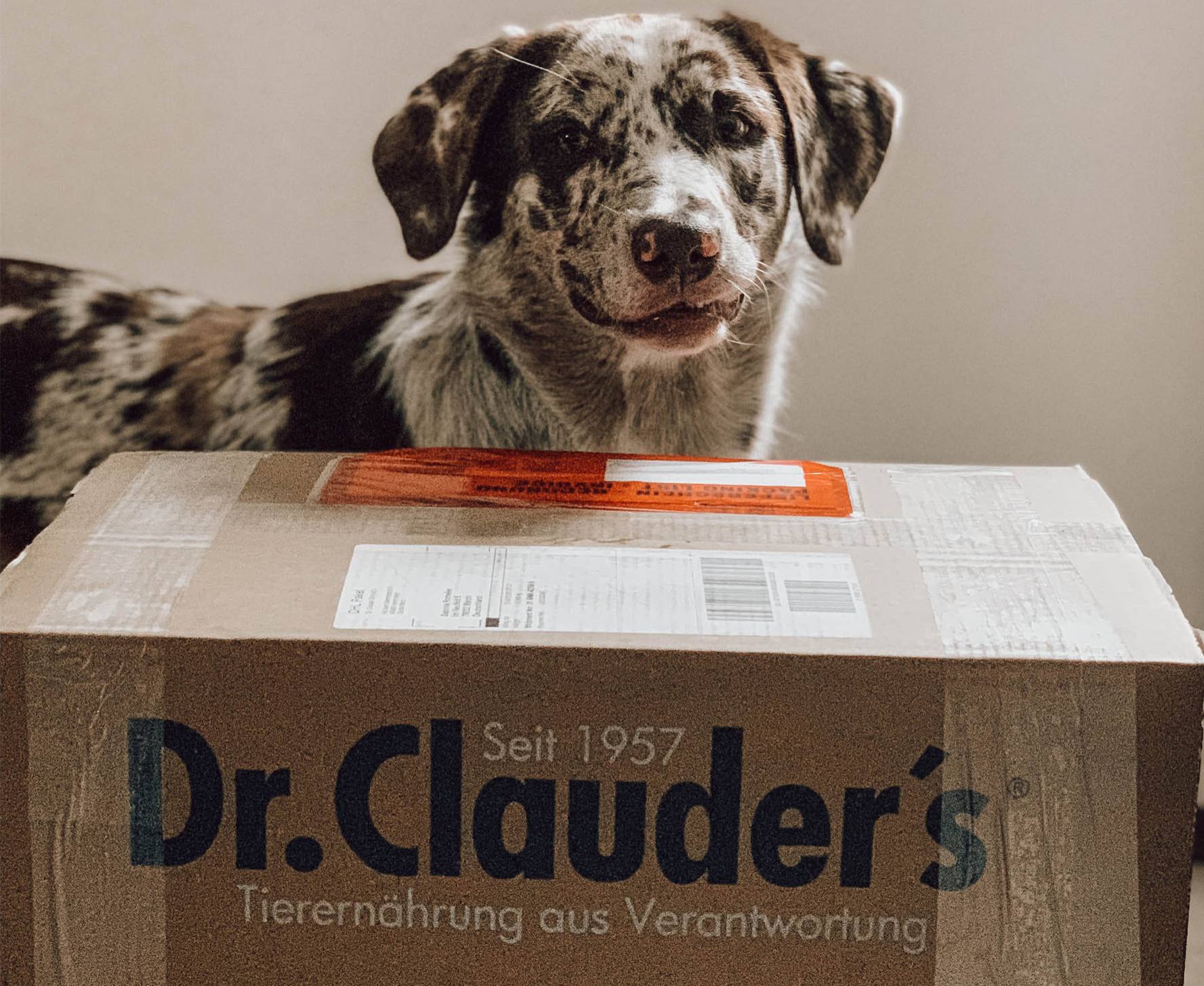 Dr.Clauder’s FUTTERUMSTELLUNG